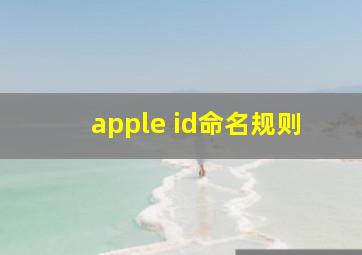 apple id命名规则